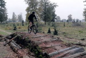 Boomstammen op MTB parcours Appelscha